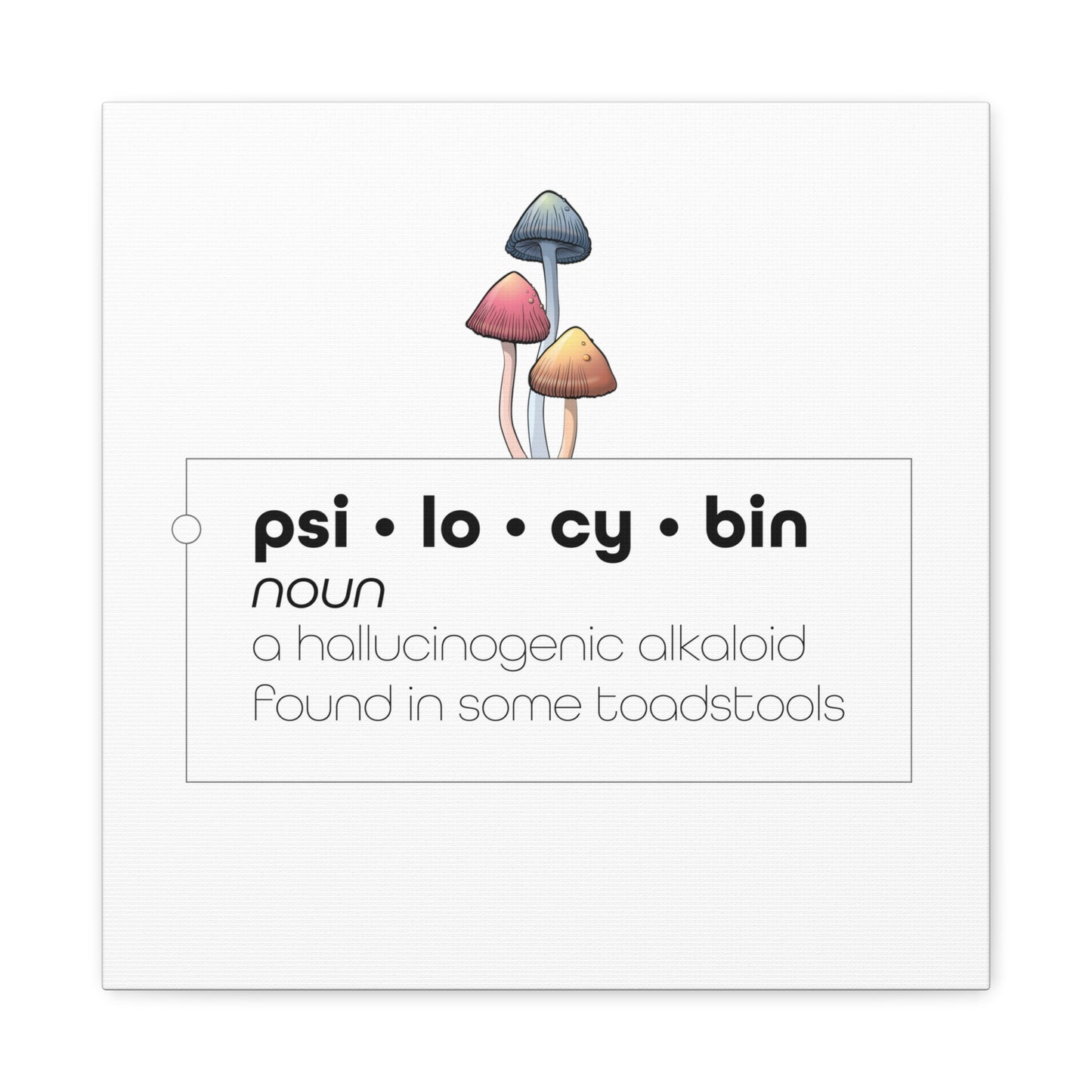 Psilocybin Defined - Stretched Matte Canvas